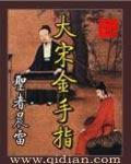 大宋金手指 封面