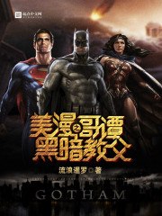 美漫之哥谭黑暗教父 封面