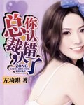 总裁，你认错人了 封面