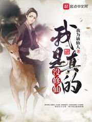 我是真的没修仙 封面