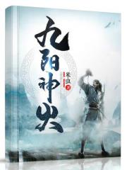 九阳神火 封面