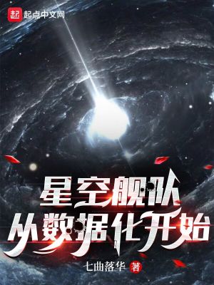 星空舰队，从数据化开始 封面