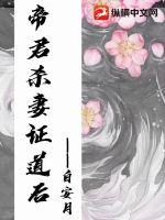 少汪几句 封面