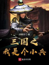 三国之我是个小兵 封面