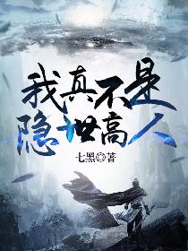 我真不是隐世高人 封面