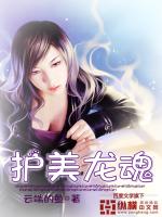 护美龙魂","copyright":"纵横 封面