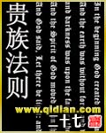 贵族法则 封面