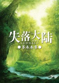 失落大陆 封面