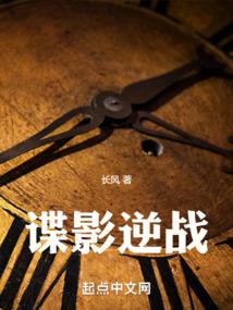 谍影逆战 封面