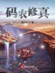 码农修真 封面
