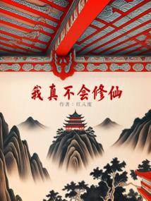 我真不会修仙！ 封面