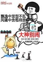 大神别闹 封面