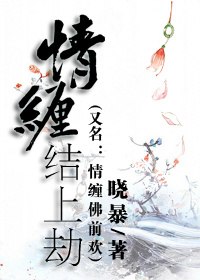 锦衾灿兮 封面