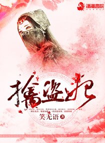 满朝文武擒盗妃 封面