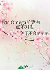 我的Omega前妻有点不对劲 封面