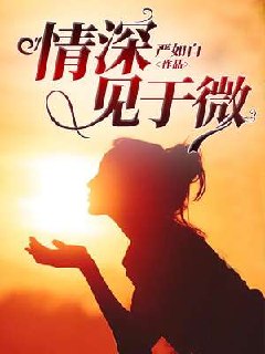 情深见于微 封面
