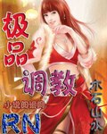 极品调教 封面