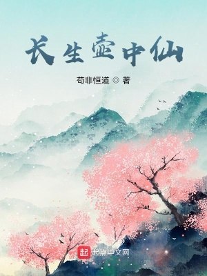 长生壶中仙 封面