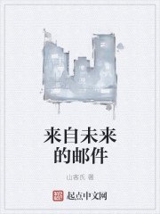 来自未来凡客txt 封面