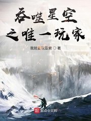 吞噬星空之唯一玩家 封面