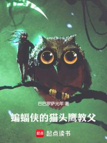 蝙蝠侠的猫头鹰教父 封面
