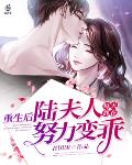 重生后，陆夫人每天都在努力变乖 封面