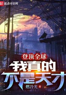 登顶全球:我真的不是天才 封面
