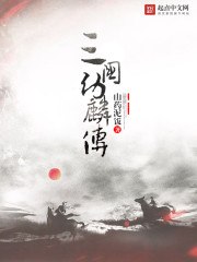 三国幼麟传 封面
