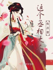 这个丞相大人有点废 封面