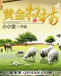 黄金牧场 封面