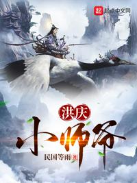 洪庆小师爷 封面