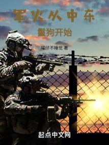 军火从中东鬣狗开始 封面