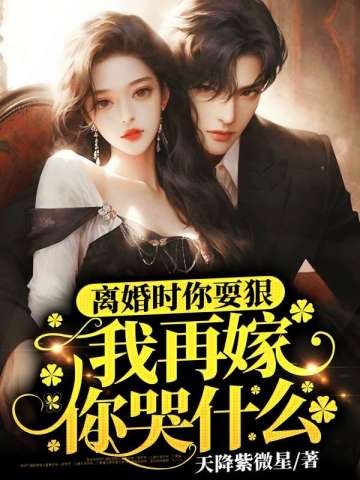 离婚时你耍狠,我再嫁你哭什么 封面