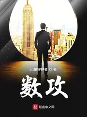 数攻 封面