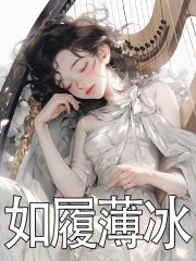 如履薄冰 封面