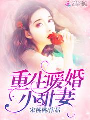 陆晚晚 封面