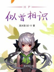HP似曾相识 封面
