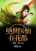 亲爱的顾先生 乔莫晚 贺西珏 封面