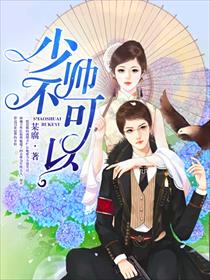 少帅，不可以！ 封面