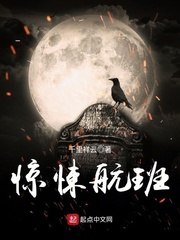 惊悚航班 封面
