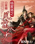 杨家将之风流八少 封面