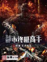 都市终极高手 封面
