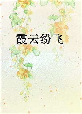 霞云纷飞 封面