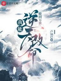 轮回模拟：我能逆天改命 封面