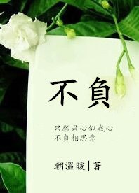 不负 封面
