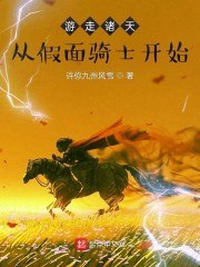 游走诸天从假面骑士开始 封面