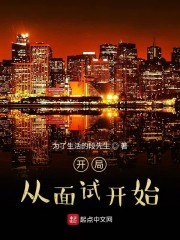 开局从面试开始 封面