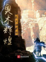 奥术辉煌从王座开始 封面
