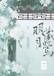 明月藏鹭 封面