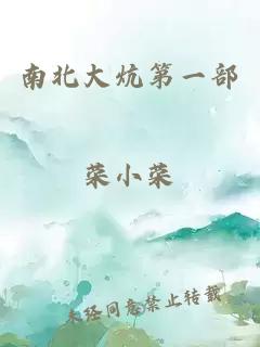 南北大炕第一部 封面